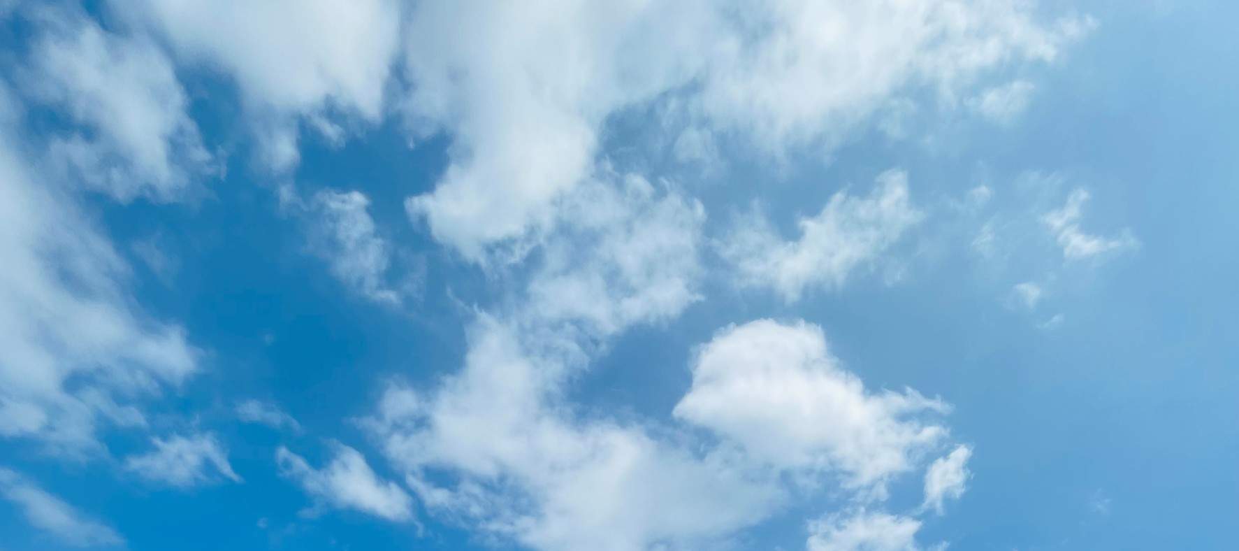 Yilan | Dongshan River Ecoark | Pengalaman Perahu Listrik dan Sepeda Air